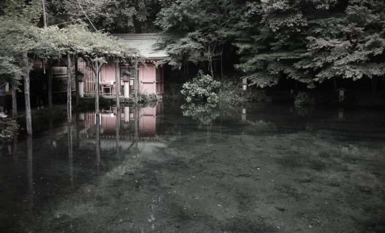 ⛩️ 후지산 혼구 센겐타이샤 이미지 6